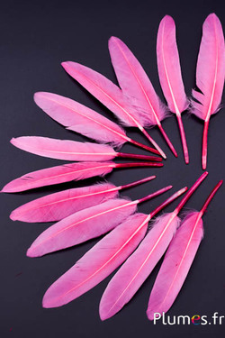 Gans - 10-15 cm - rosa